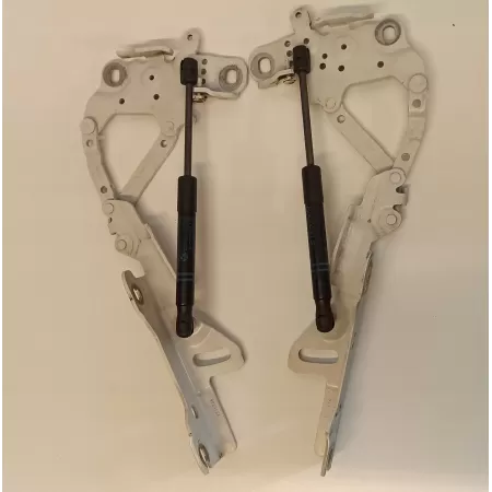 BMW F20 ZAWIASY KLAPY BAGAŻNIKA 7336699 7336700