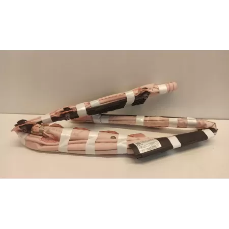 FORD PUMA KURTYNA AIRBAG LEWA L1TB-A042D95-AE