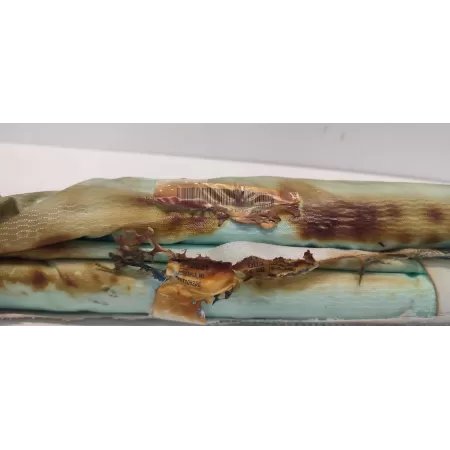 MERCEDES GLE53 A167 KURTYNA PRAWA A1678603201 MERCEDES GLE53 A167 KURTYNA PRAWA A1678603201